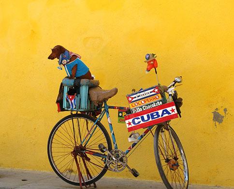 February photo comp: A Sausage dog waits for his owner in Havana, Cuba