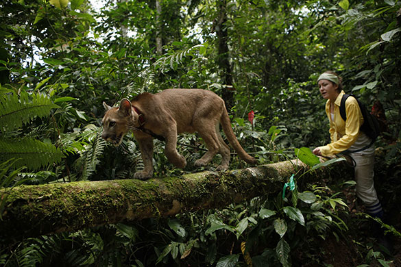 24 hours in pictures: conservation NGO in Bolivia