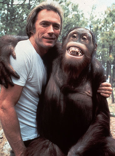 Clint Eastwood at 80: Clint Eastwood in Every Which Way But Loose