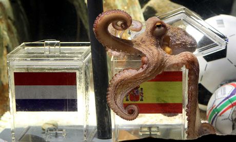 Paul the octopus predicts Spain to win the final of the 2010 FIFA World Cup. Source: [The Guardian](https://www.theguardian.com/football/2010/jul/09/psychic-octopus-paul-picks-spain)