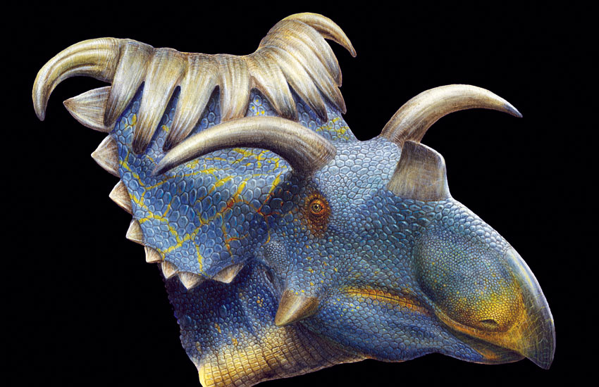 Kospoceratops richardsoni