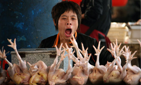 A-Chinese-poultry-seller--006.jpg