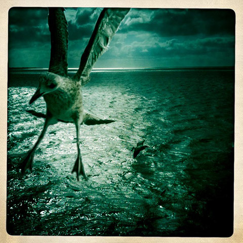 Hipstamatics: New exhibition of Hipstamatic photographs showing at the Orange Dot gallery