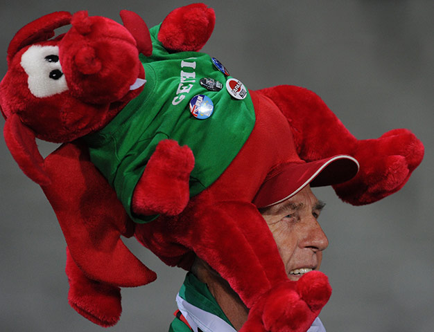 Wales v France RWC semi: Wales fan with a dragon hat