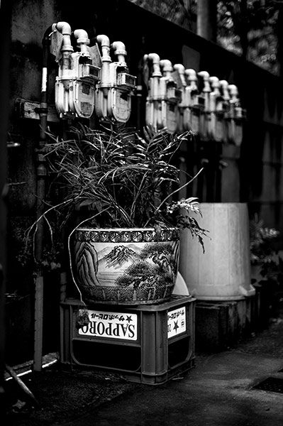 Tokyo by Paul Church: Plant pot