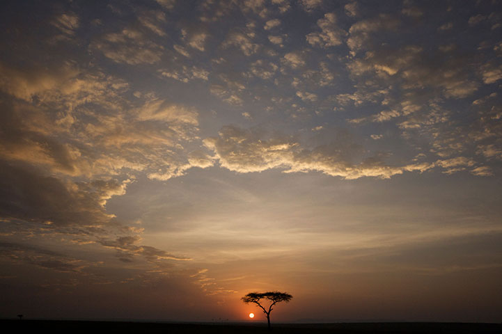 Sunset/sunrise: Masai Mara, Kenya
