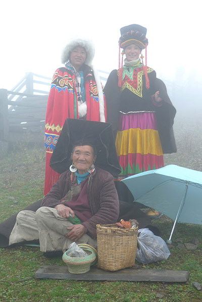 Travel: Fungus sellers, Spruce Meadow