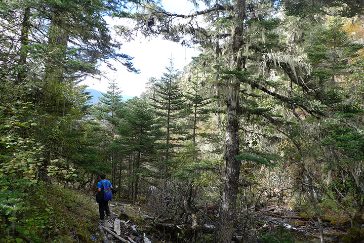 Travel: mountain behind Songtsam Meili