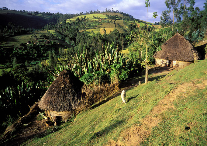 Viewfinder: huts viewfinder
