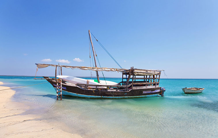 Mozambique dhow trip: Vagabundo, beached near Arimba Island