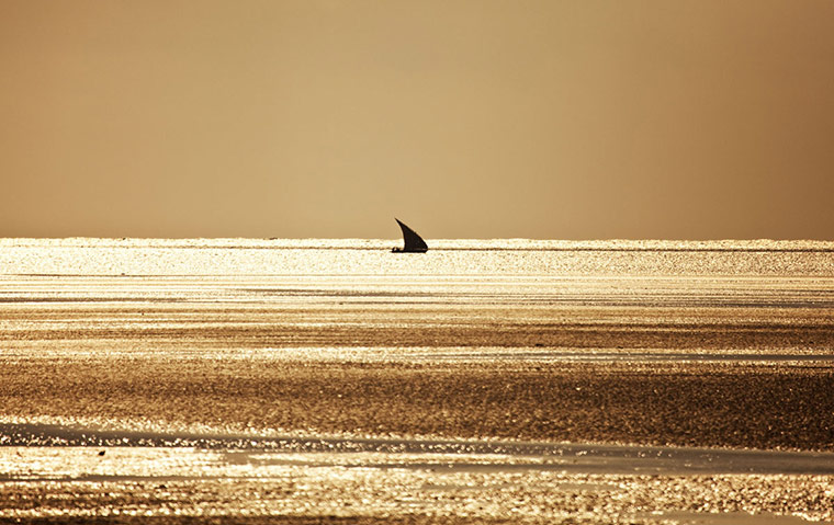 Mozambique dhow trip: dhow, Arimba beach