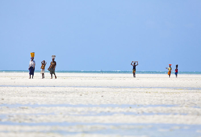 Mozambique dhow trip: Arimba villagers seafood foraging