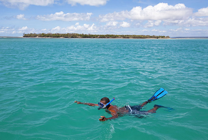 Mozambique dhow trip: Snorkeling, Mogondula Island