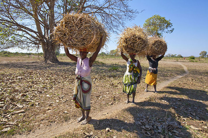 Mozambique dhow trip: Arimba villagers