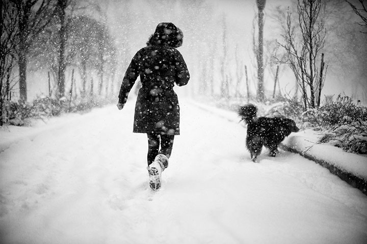 BT winners gallery 2011 : Snow, Toronto