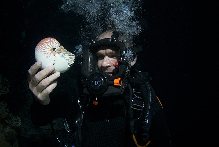 Great Barrier Reef: Monty Halls and Nautilus, Osprey Reef