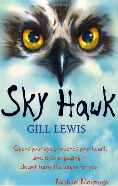 Older Childrens Books: Older Children's Books - Sky Hawk by Gill Lewis