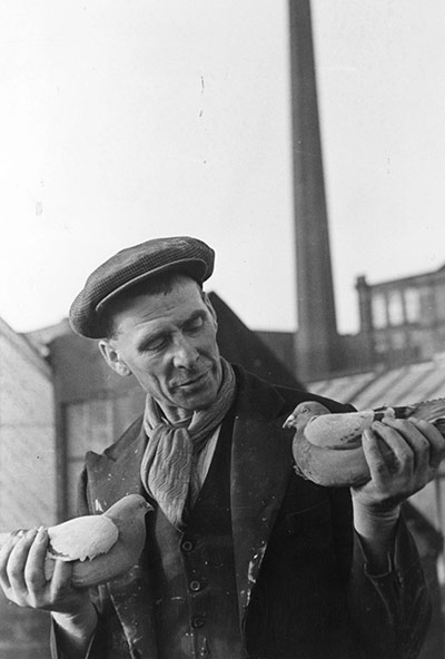 Wigan 1939: Racing Pigeons