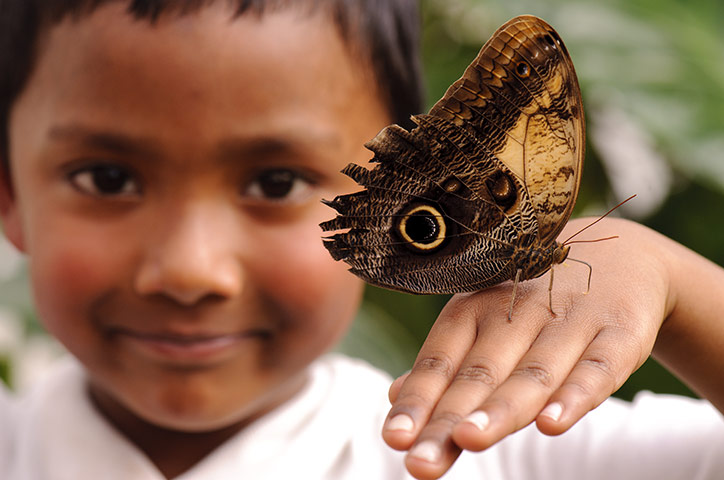 Schoolchildren visit the Natural History Museum's…