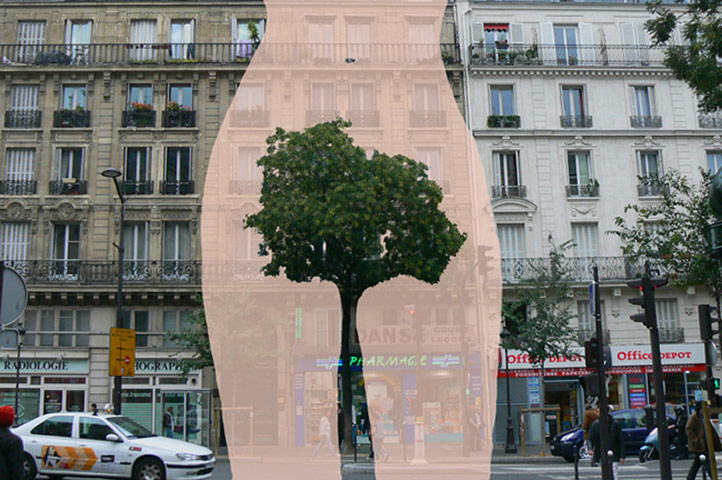 Street art Paris: Eve tree, Paris