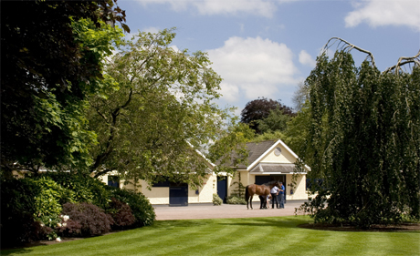 coolmore-stud.jpg