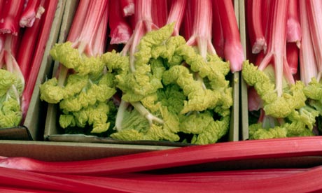 Forced rhubarb on sale in Yorkshire