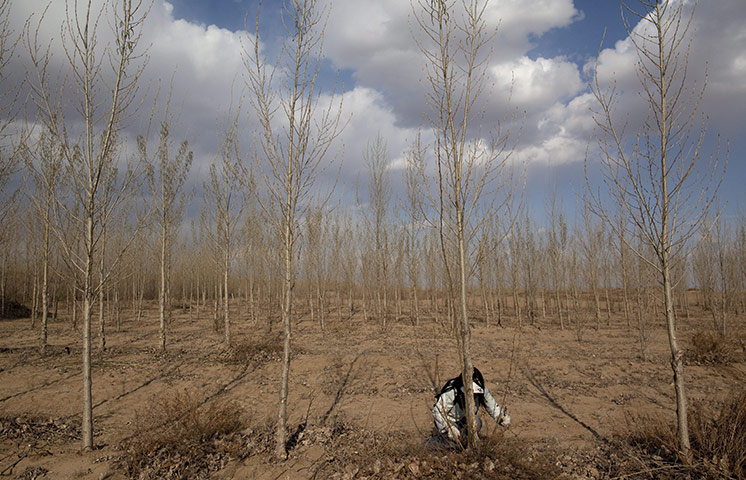 Desertification In Inner Mongolia China In Pictures Global