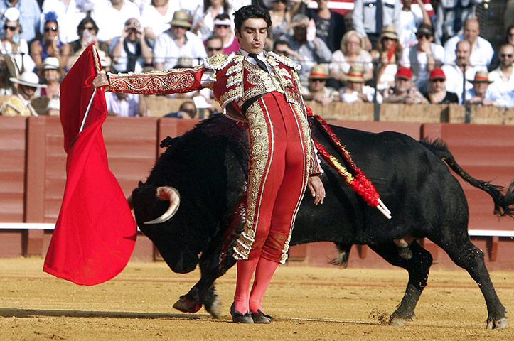 Feria de Seville: Spanish bullfighter Miguel Angel Perera makes a pass during a bullfight