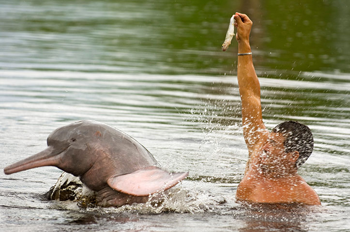 Viewfinder 19 June 3