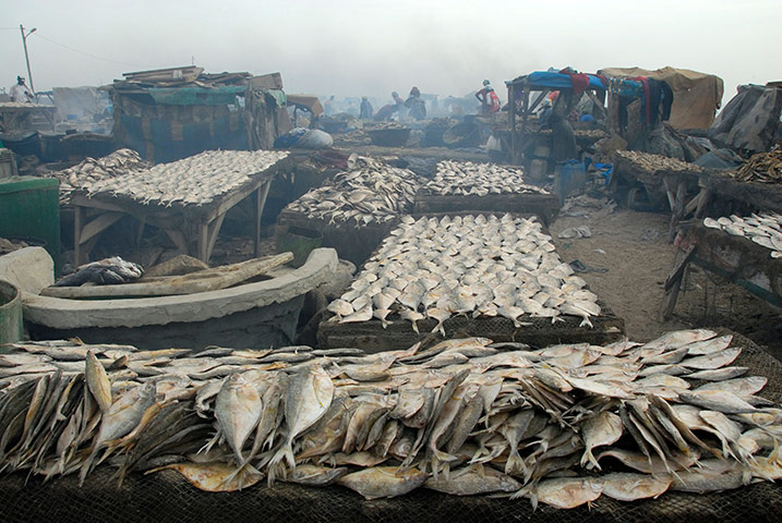 viewfinder26: Viewfinder26-4