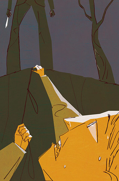 Book Illustrations: Book Illustrations