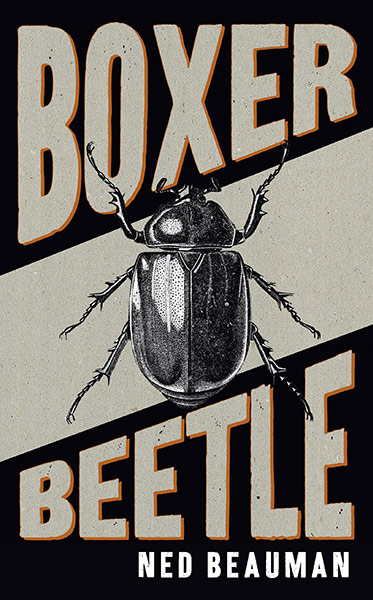 Book Illustrations: Book Illustrations