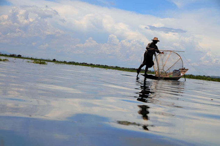 Burma gallery: Fishing, Lake Inle