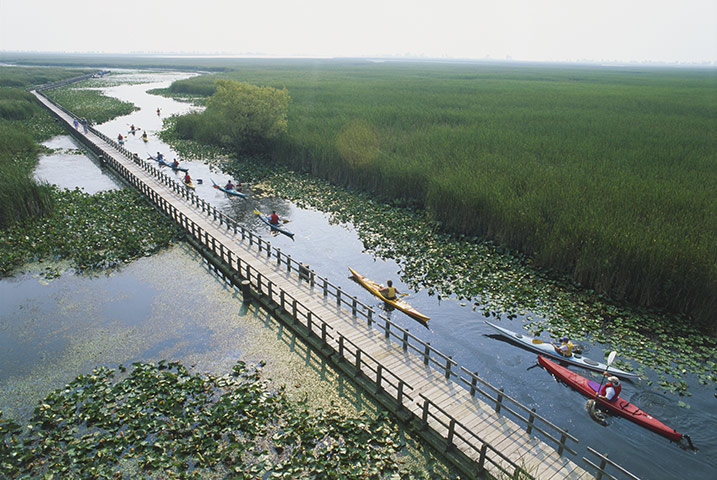 Canada Parks: Point Pelee National Park