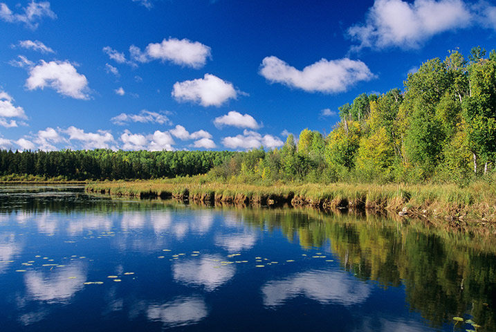 Canada Parks: Pond reflection, Prince Albert National Park, Saskatchewan, Canada.