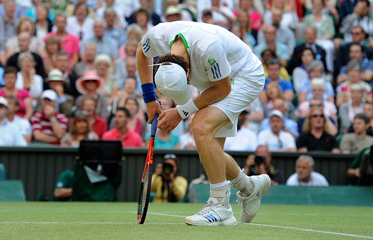 sport: Wimbledon tennis