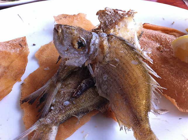 Week in pics: Cullum: Fried fish in The Lebanon