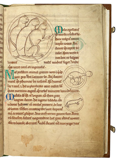 Babies & Books : exhibition at Cambridge University Library