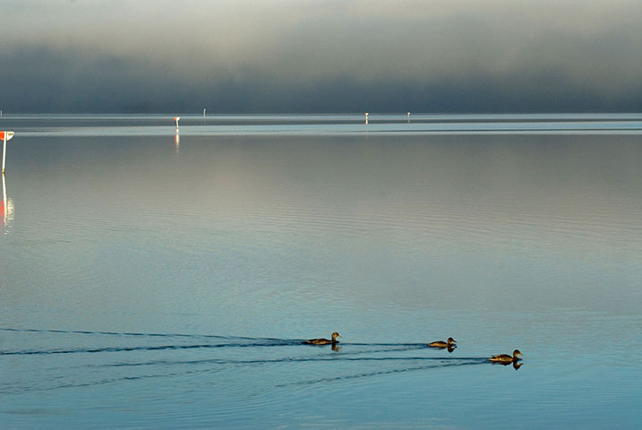 Beenthere Landscape: Beenthere fermanagh