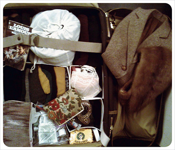 Week in pics: Alela Diane: suitcase