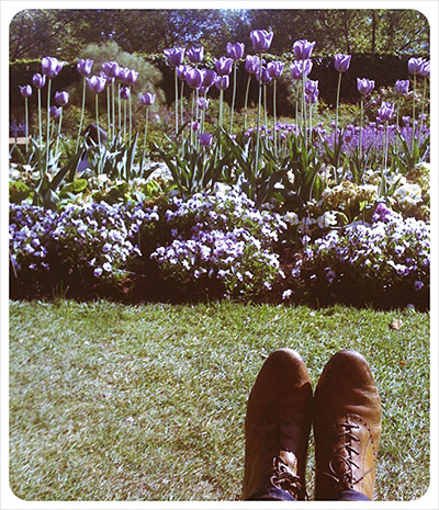 Week in pics: Alela Diane: flowers in Hyde Park