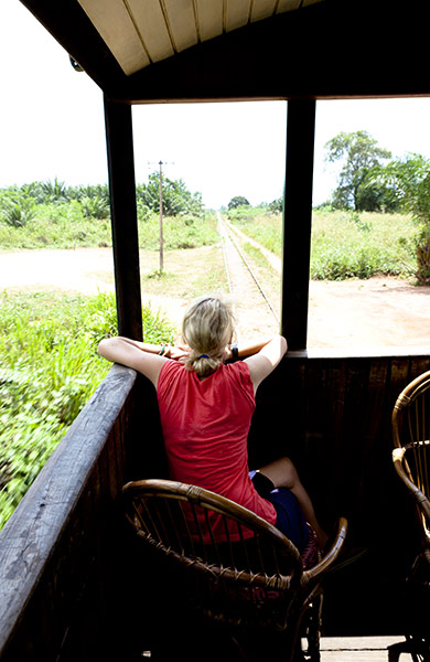 Benin : flora king on train in benin 