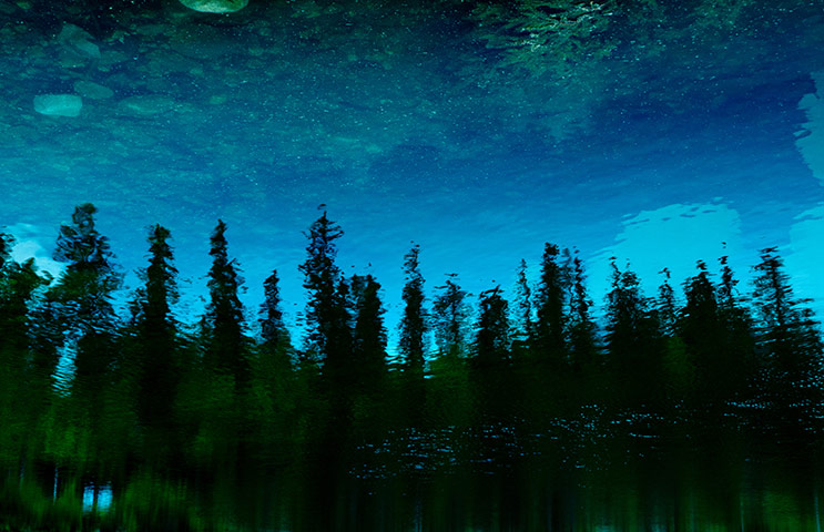 slovakia: Trees reflected in the lake at Strbske