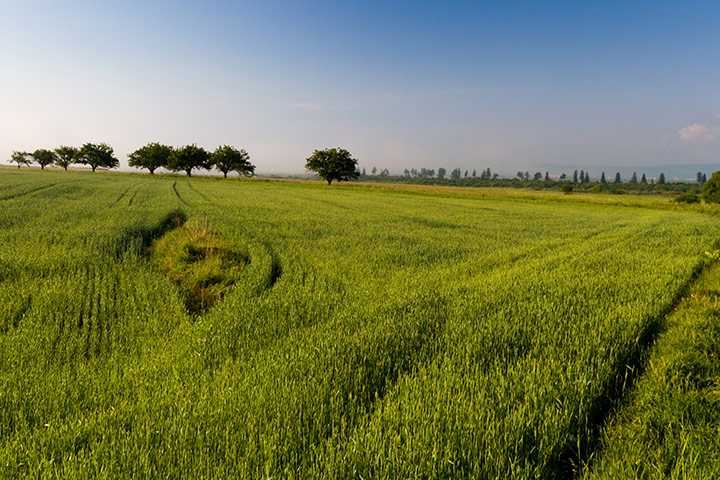 slovakia: A field in Stara Lesna.