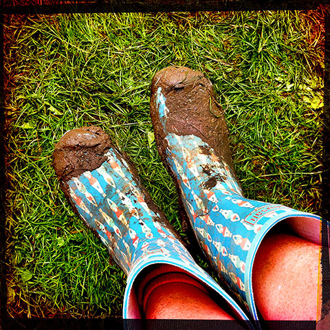 Festivals readers photos: UK festivals readers photos