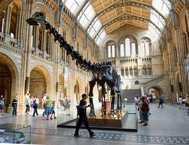 10 best: Dinosaurs: Diplodocus skeleton in the main central hall of the Natural History Museum