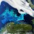 Satellite Eye on Earth: The phytoplankton bloom  stretches across the Barents Sea