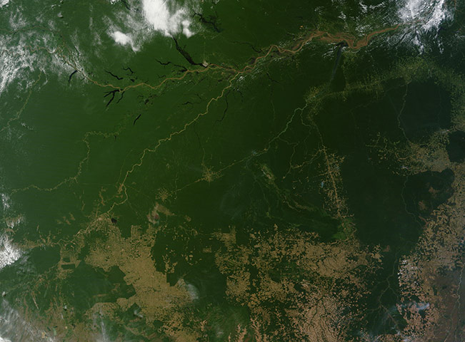 Satellite Eye on Earth: Amazon