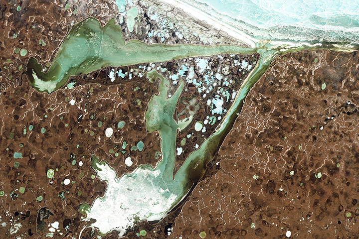 Satellite Eye on Earth: Omulyakhskaya and Khromskaya Bays, Russia
