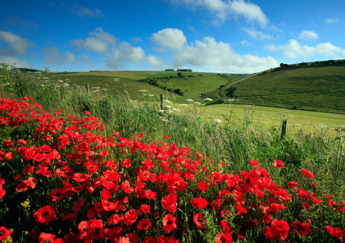 Culturalbreaks: Yorkshire Wolds